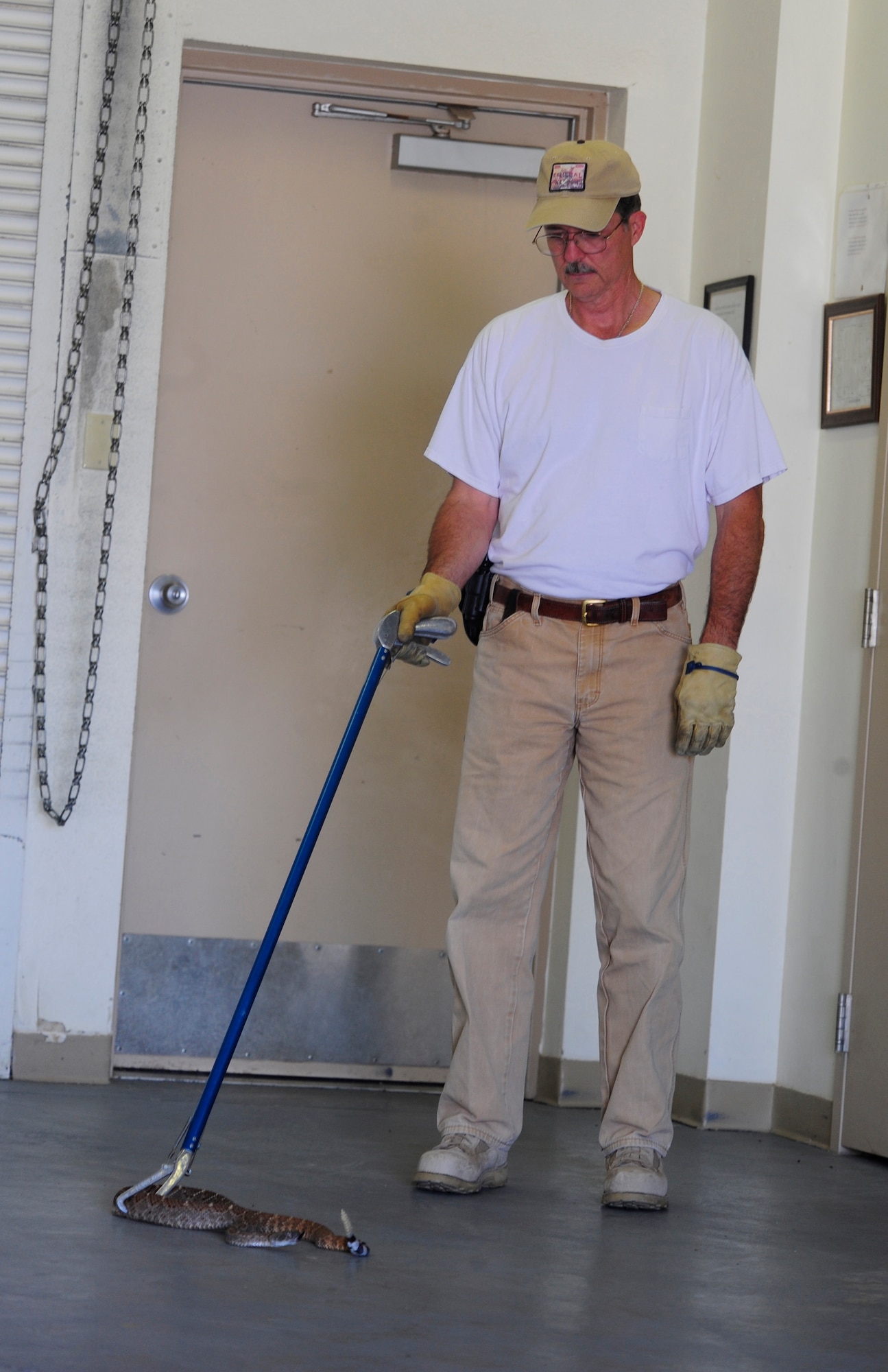HOLLOMAN AIR FORCE BASE, N.M. -- Richard Graham, a pest control technician with the 49th Civil Engineer Squadron, demonstrates the proper way to catch a snake at the Pest Management shop July 14, 2010. The Pest Management shop is responsible for controlling pests of public health importance, including snakes which are commonly found around the base. The technicians house three Western Diamondback Rattlesnakes in their shop that are used for training purposes. (U.S. Air Force photo by Senior Airman Tiffany Trojca / Released)