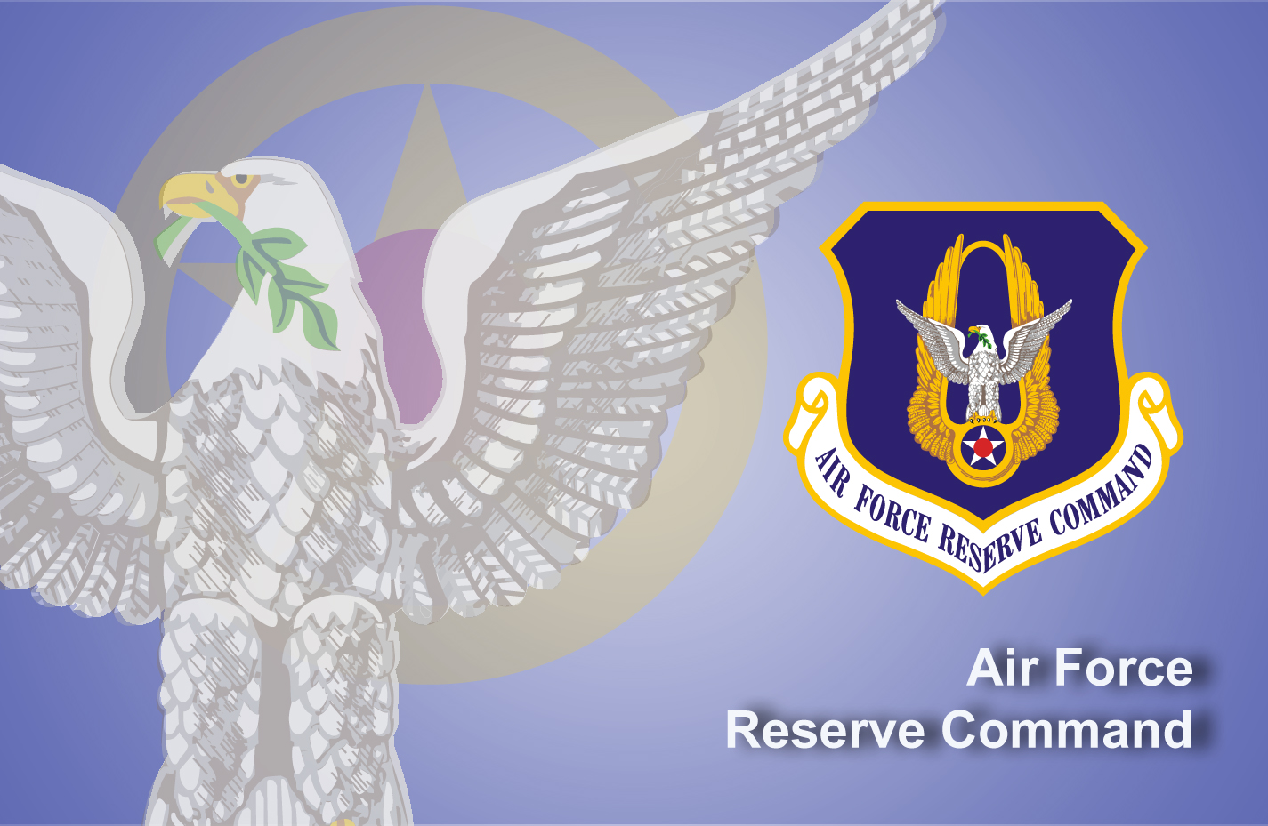 Air Force Reserve Command > 960th Cyberspace Wing > Display
