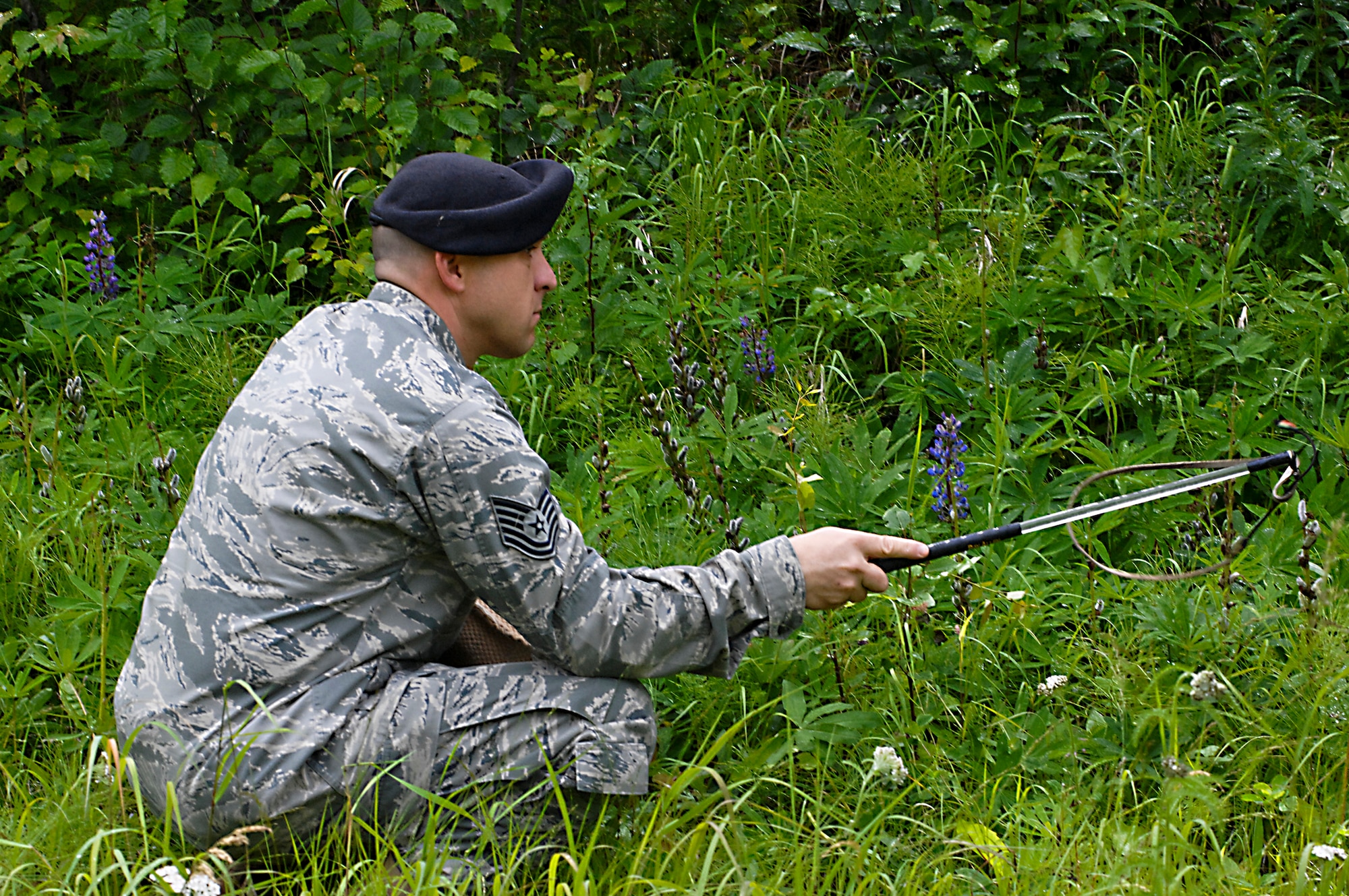 JOINT BASE ELMENDORF-RICHARDSON, Alaska -- Tech. Sgt. Robert Black, 3rd Security Forces, military working dog trainer, utilizes a training whip to rustle brush during a sound find exercise July 22. Security Forces MWDs and trainers work daily to hone their skills. (Air Force photo by Airman 1st Jack Sanders)