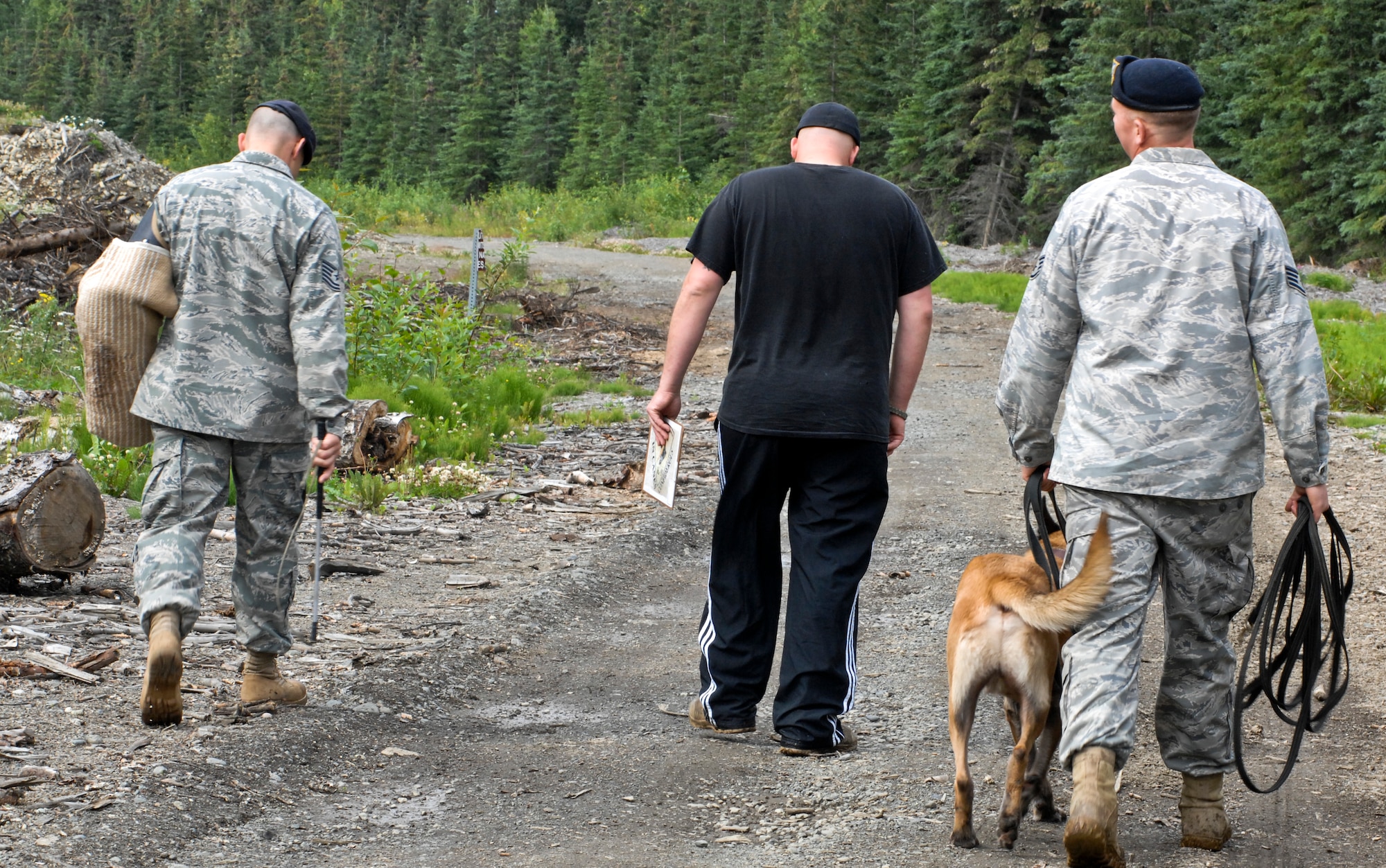 JOINT BASE ELMENDORF-RICARDSON, ALASKA -- Security Forces, military working dog trainers finish a full day of training by heading back to the kennels July 22. Security Forces MWDs and trainers work daily to hone their skills. (Air Force photo by Airman 1st Jack Sanders)