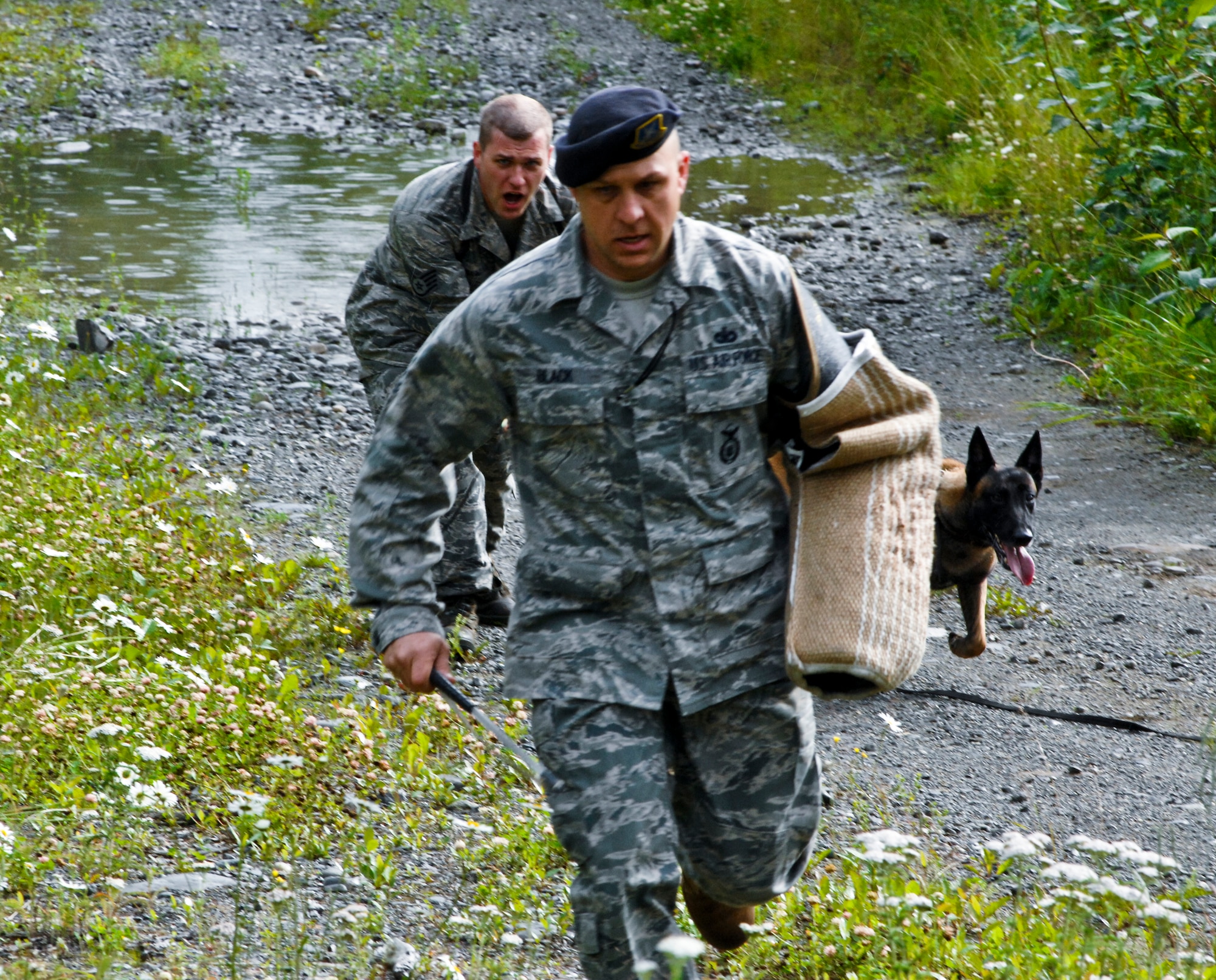 JOINT BASE ELMENDORF-RICHARDSON, Alaska -- Staff Sgt. Greg Maatta, 3rd Security Forces, military working dog trainer, yells for his "suspect" to stop before releasing MWD Dusty to subdue. Tech. Sgt. Robert Black, 3rd Security Forces, MWD trainer, acts as the suspect during the exercise July 22. (Air Force Photo by Airman 1st Class Jack Sanders)