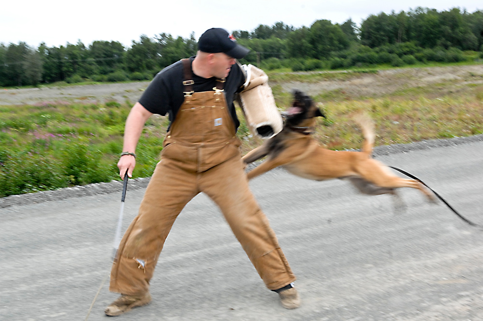 JOINT BASE ELMENDORF-RICHARDSON, Alaska -- Military working dog, Dusty, launches for a subduing bite during an evaluated sight find training, a training exercise where a military working dog and handler are tasked with finding a decoy being played by Tech. Sgt. Patrick Schue, 3rd Security Forces Squadron, MWD trainer. (Air Force photo by Airman 1st Class Jack Sanders)