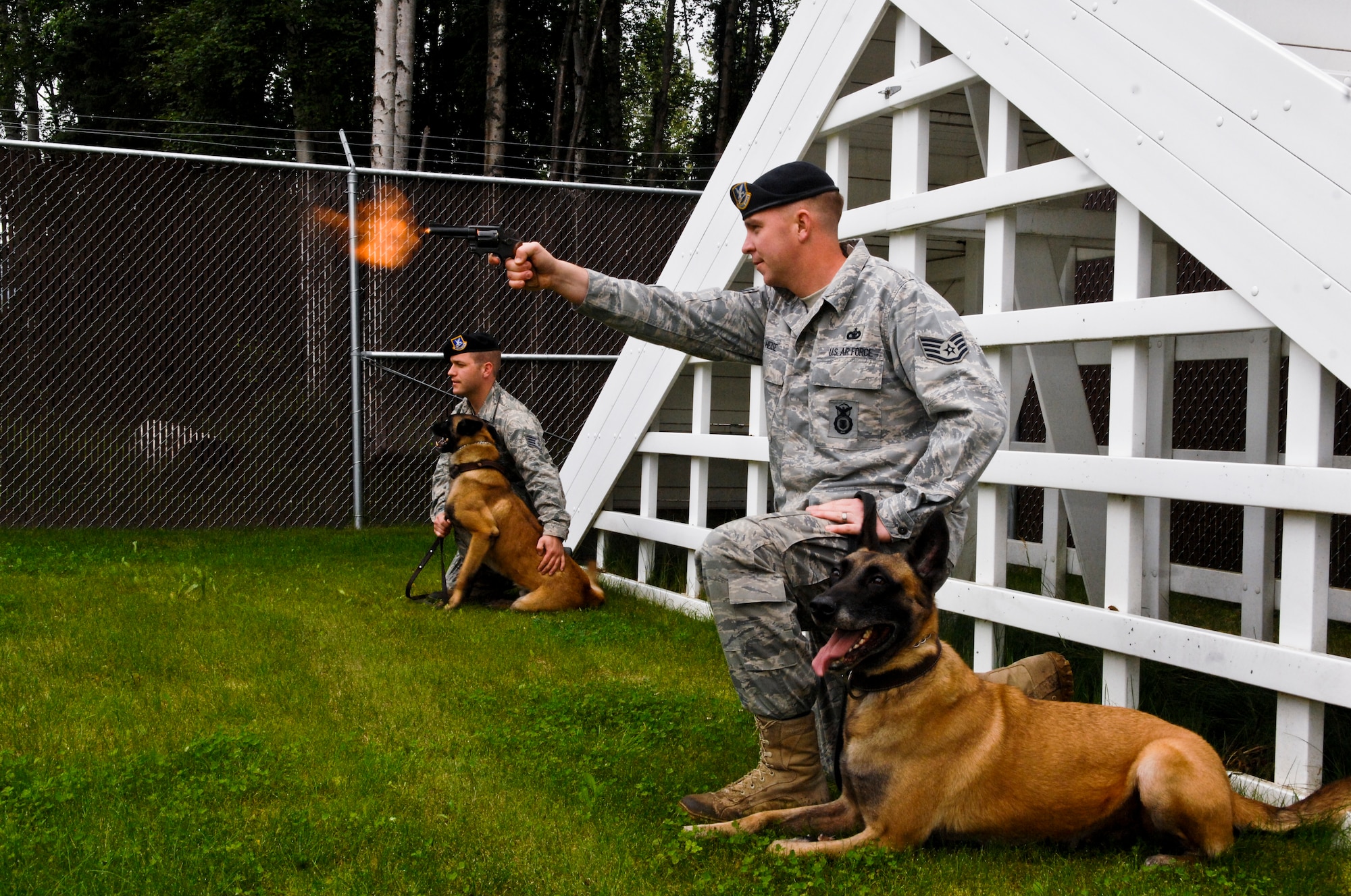 JOINT BASE ELMENDORF-RICHARDSON, Alaska -- Staff Sgt. Scott Heise fires a training pistol during a daily training exercise with fellow 3rd Security Forces Squadron, military working dog trainer, Staff Sgt. Greg Maatta. Sergeant Heise is working with MWD Dino, while Sergeant Maatta works with MWD Dusty. (Air Force photo by Airman 1st Class Jack Sanders)