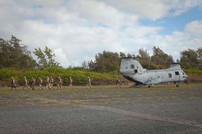 U.S. Marines with Company F, 2nd Battalion, 3rd Marine Regiment, disembark CH-53D Sea Stallion helicopters in order to provide security during a noncombatant evacuation operation at Marine Corps Training Area Bellows, Hawaii, July 26. The NEO, an emergency evacuation involving the use of military forces and capabilities in order to provide aid, assistance and movement to safety of American citizens overseas, was conducted as part of interoperability training between coalition forces during the multi-national Exercise Rim of the Pacific 2010.