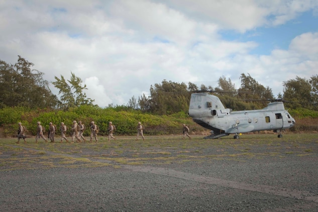 U.S. Marines with Company F, 2nd Battalion, 3rd Marine Regiment, disembark CH-53D Sea Stallion helicopters in order to provide security during a noncombatant evacuation operation at Marine Corps Training Area Bellows, Hawaii, July 26. The NEO, an emergency evacuation involving the use of military forces and capabilities in order to provide aid, assistance and movement to safety of American citizens overseas, was conducted as part of interoperability training between coalition forces during the multi-national Exercise Rim of the Pacific 2010.