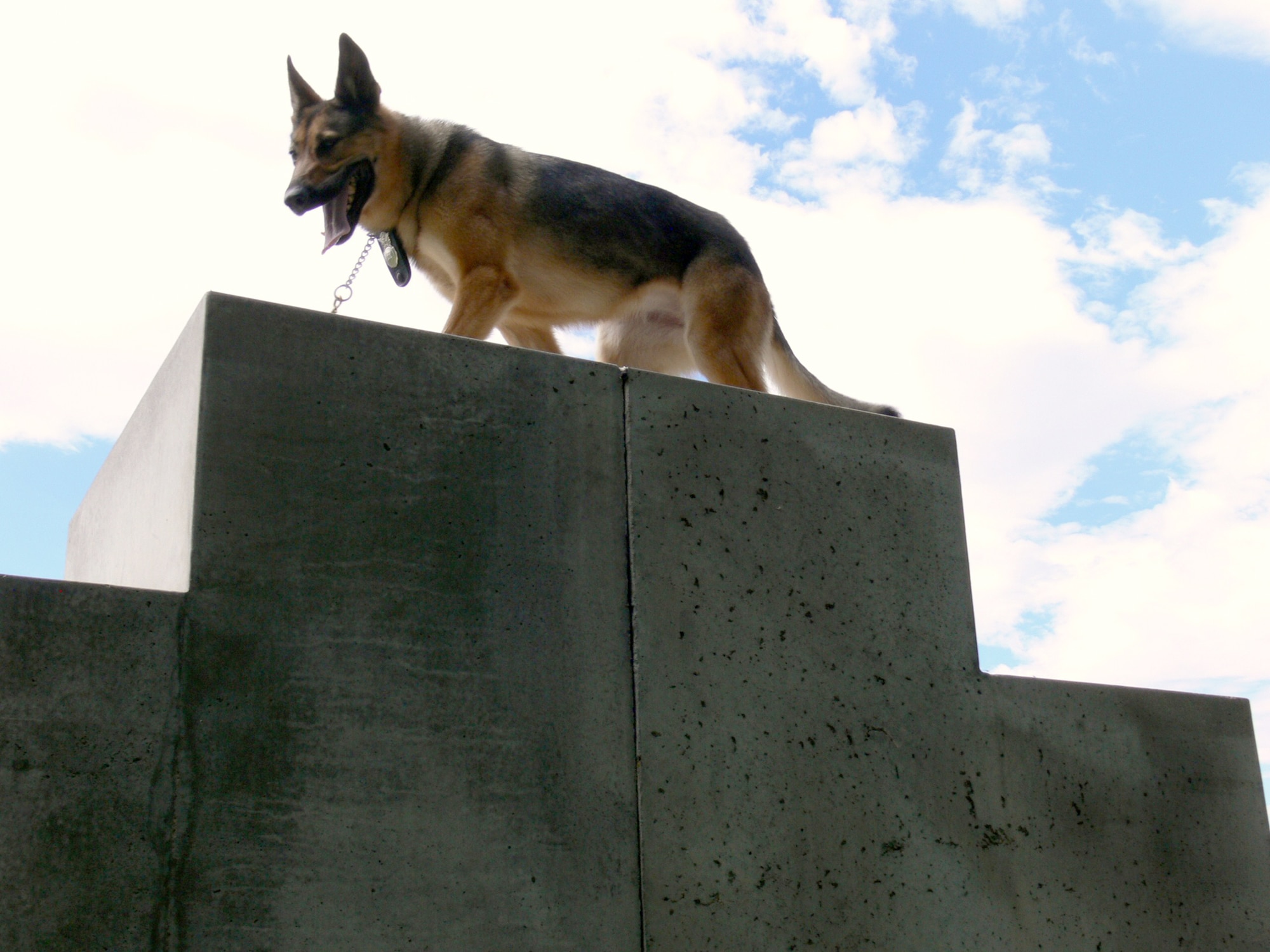 Gina runs through the obstacle course at the dog kennel July 21, 2010, at Peterson Air Force Base, Colo. Gina served her first tour in Southwest Asia this year and returned with post traumatic stress disorder. Gina is a 21st Security Forces Squadron military working dog. (U.S. Air Force photo/Monica Mendoza) 