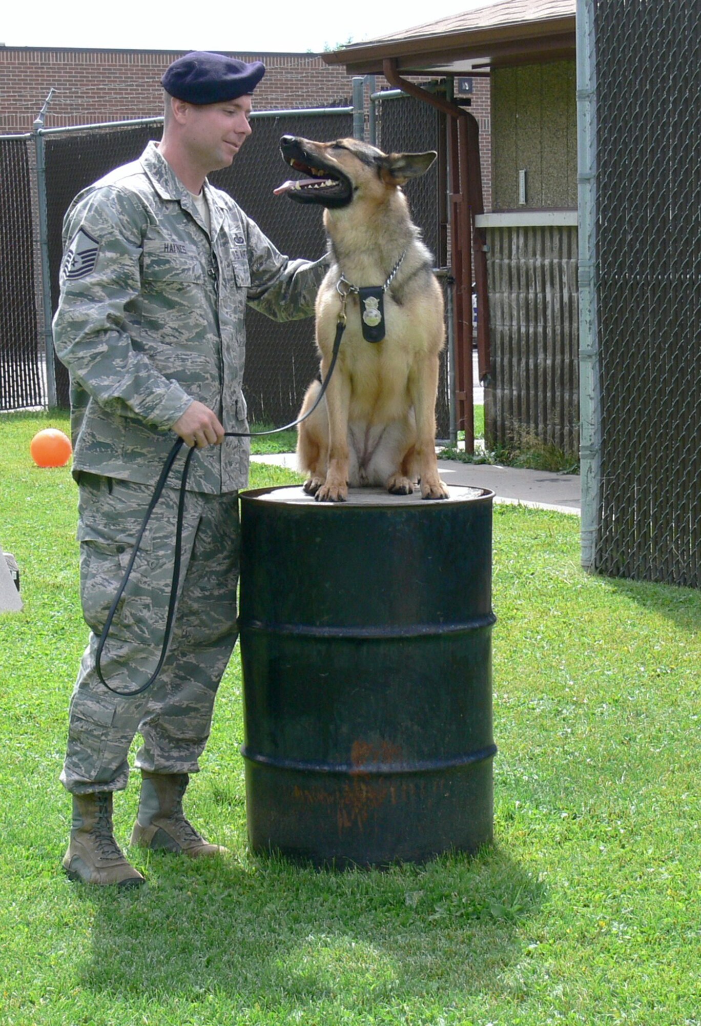 Master Sgt. Eric Haynes praises Gina, a four-year-old German shepherd, during her off-duty play time July 21, 2010, at the Peterson Air Force Base dog kennel in Colo. Sergeant Haynes spent the past six months working daily with Gina, who suffered from post traumatic stress disorder after her tour in the Southwest Asia. Sergeant Haynes is the 21st Security Forces Squadron NCO in charge of the military working dog section. (U.S. Air Force photo/Monica Mendoza) 