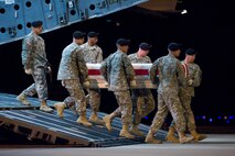 A U.S. Army carry team transfers the remains of Army Sgt. Anibal Santiago, of Belvidere, Ill., at Dover Air Force Base, Del., July 20. (U.S. Air Force photo/Roland Balik)