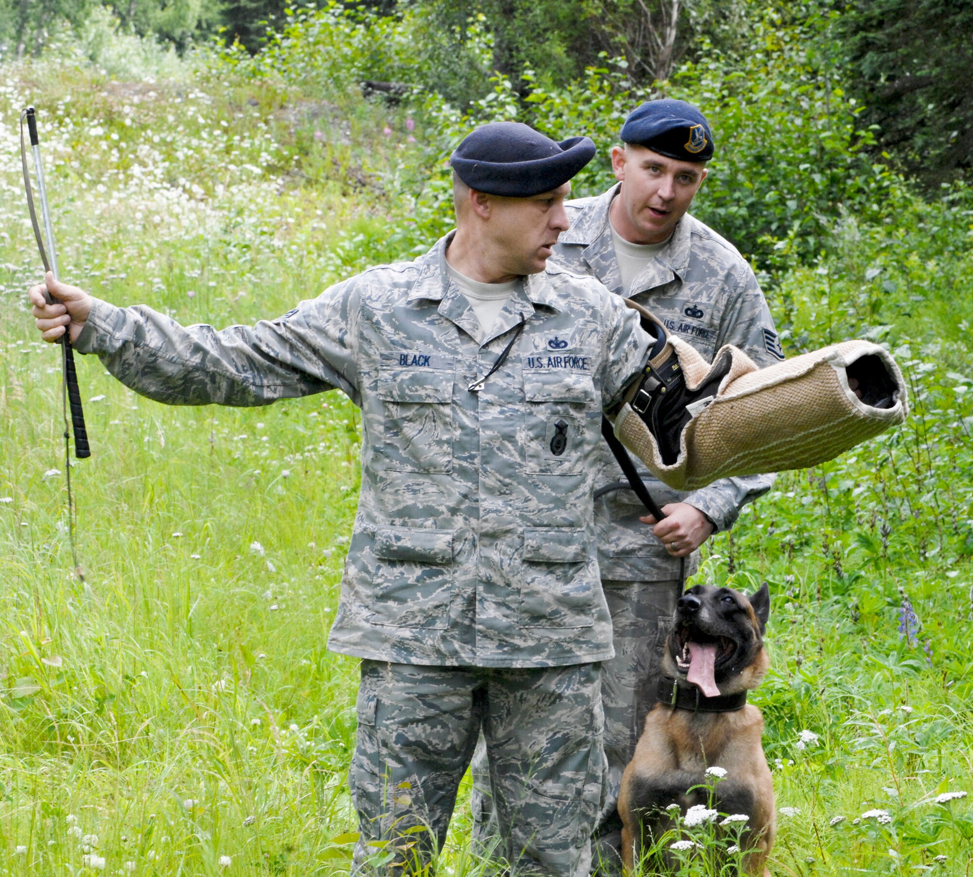 Staff Sgt. Scott Heise and military working dog Dino search a "suspect" after finding him during a sound find exercise July 22, 2010, at Joint Base Elmendorf-Richardson, Alaska.  Tech. Sgt. Robert Black plays the role of the suspect. Both Airmen are with the 3rd Security Forces Squadron. (U.S. Air Force photo/Airman 1st Jack Sanders)