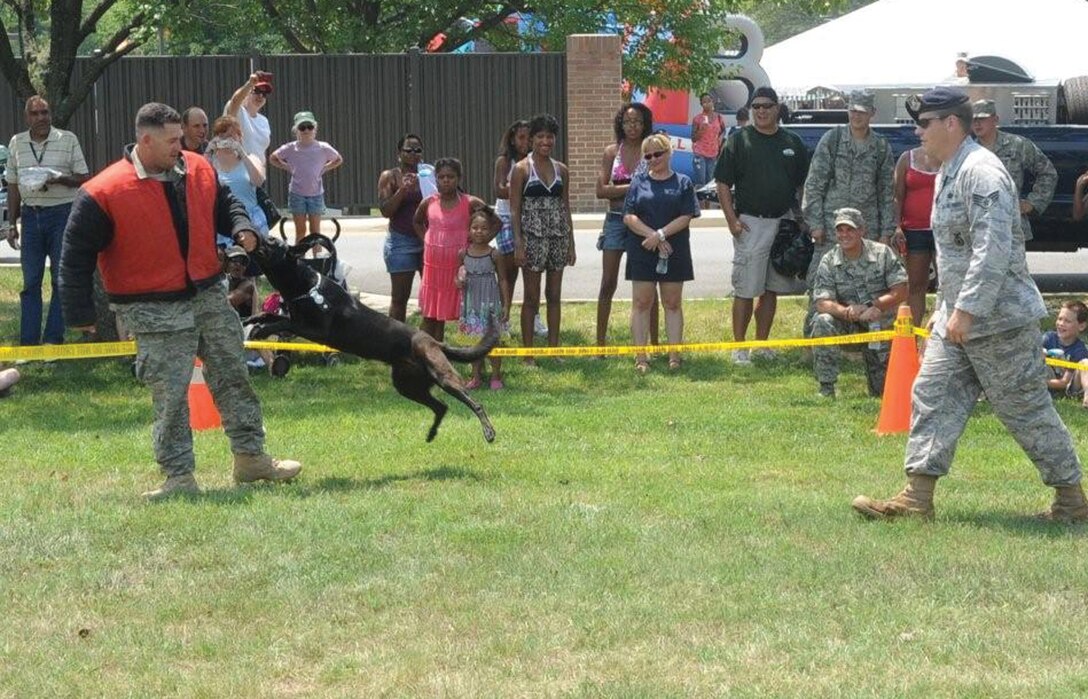 Technical Sgt. Eric Smith, 316th Security Forces Squadron military work dog trainer, demonstrates working dog tactics with Lana, 316 SFS working dog, and her handler Staff Sgt. Joseph Stoltz, 316 SFS military working dog handler, at the Year of the Air Force Family Joint Base Picnic on Joint Base Andrews, July 23. The Joint Base Andrews Picnic featured a mini-carnival, free food, music, base agencies and more. (U.S. Air Force photo/ Bobby Jones)