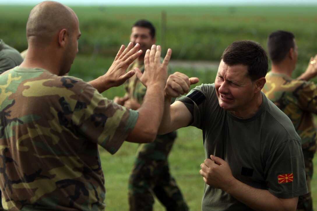 First Sgt. Tony Naskovski, a Macedonian Army soldier with Scorpion Company, 1st Battalion, 1st Brigade, performs a knife-hand strike on his partner during a Marine Corps Martial Arts Program exercise with the Marines and Sailors of scout platoon, Headquarters and Service Co., 1st Tank Bn., at Babadag Training Area, Romania, June 1. The Marines are working in the Black Sea, Balkan and Caucasus regions to promote regional stability, build enduring partnerships and build the capabilities of partner nations’ military forces.