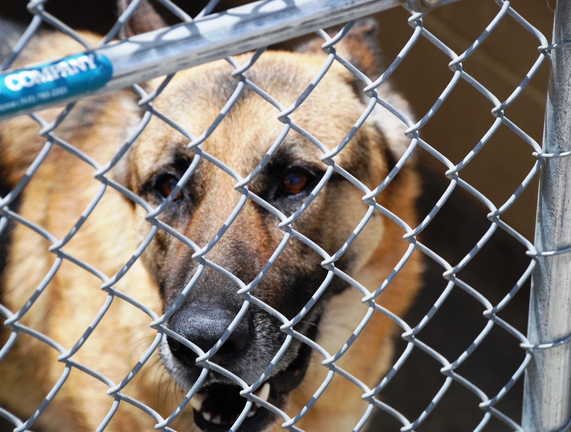 Sheppard Air Force Base, Texas, was recently awarded $700,000 from Air Education and Training Command to rebuild kennels for military working dogs from the 82nd Security Forces Squadron. Enhancements include larger space, two more kennel units, an updated drainage system and a foundation further away from a protected wetland.  The MWD kennel project is expected to be complete Sept. 3, 2010. (U.S. Air Force photo/Airman 1st Class Valerie Hosea)