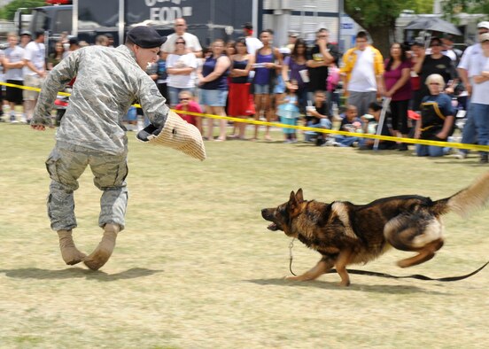 ALAMOGORDO, N.M. -- Staff Sgt. Daniel Flores, from the 49th Security Forces Squadron at Holloman Air Force Base, act out an attack scenario with a military working dog at the Armed Forces Day event May 15, 2010. Along with 49th SFS demonstrations, the event showcased military displays, food vendors and a Gus Macker basketball tournament. (U.S. Air Force photo by Airman 1st Class Eileen Payne / Released)