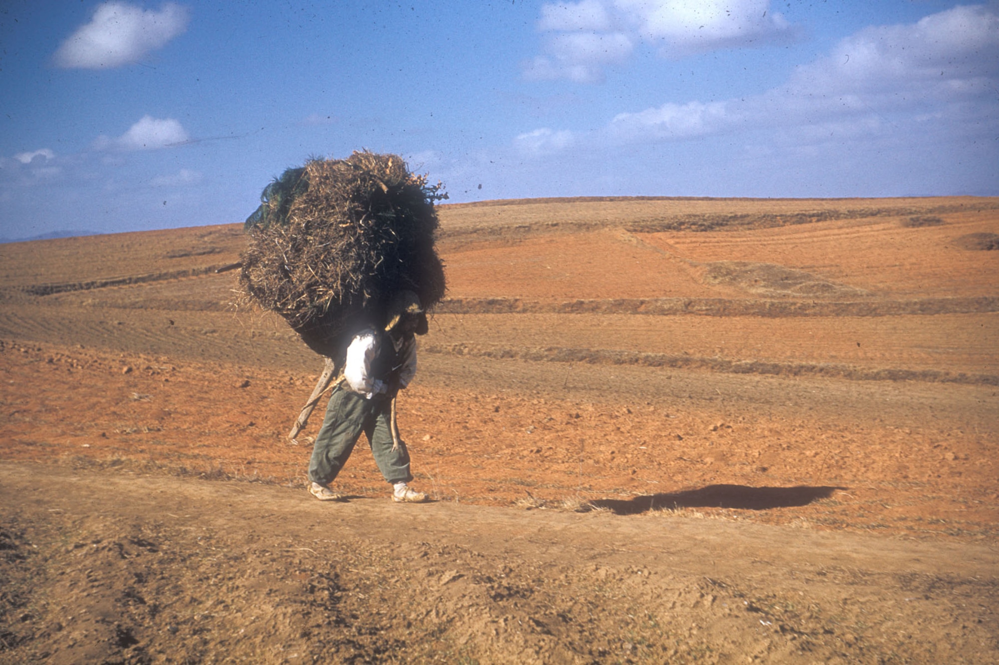 Common sight for Airmen in Korea -- a South Korean citizen using the ever-present wooden A-frame backpack to transport goods by foot. (U.S. Air Force photo)