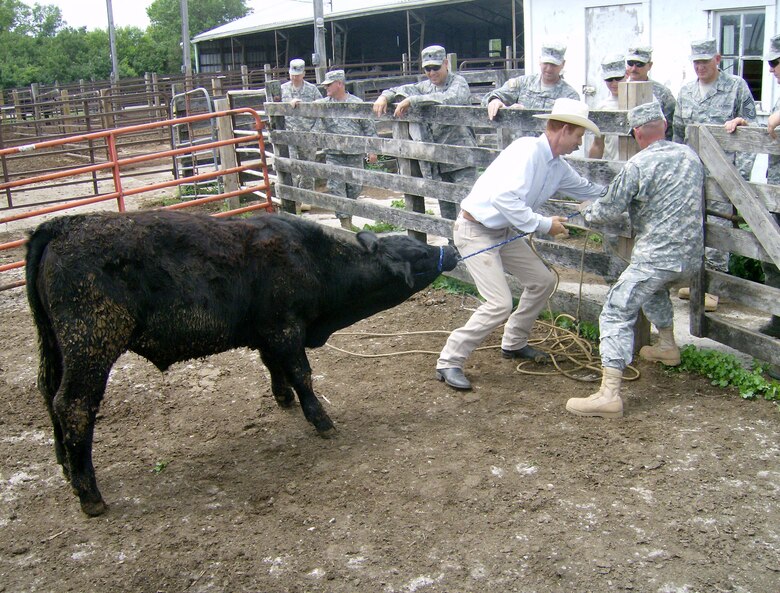 Members of the 734th Agri-Business Development Team learn as Dr. Grant Dewell of Iowa State University College of Veterinary Medicine teaches basic cattle handling techniques.