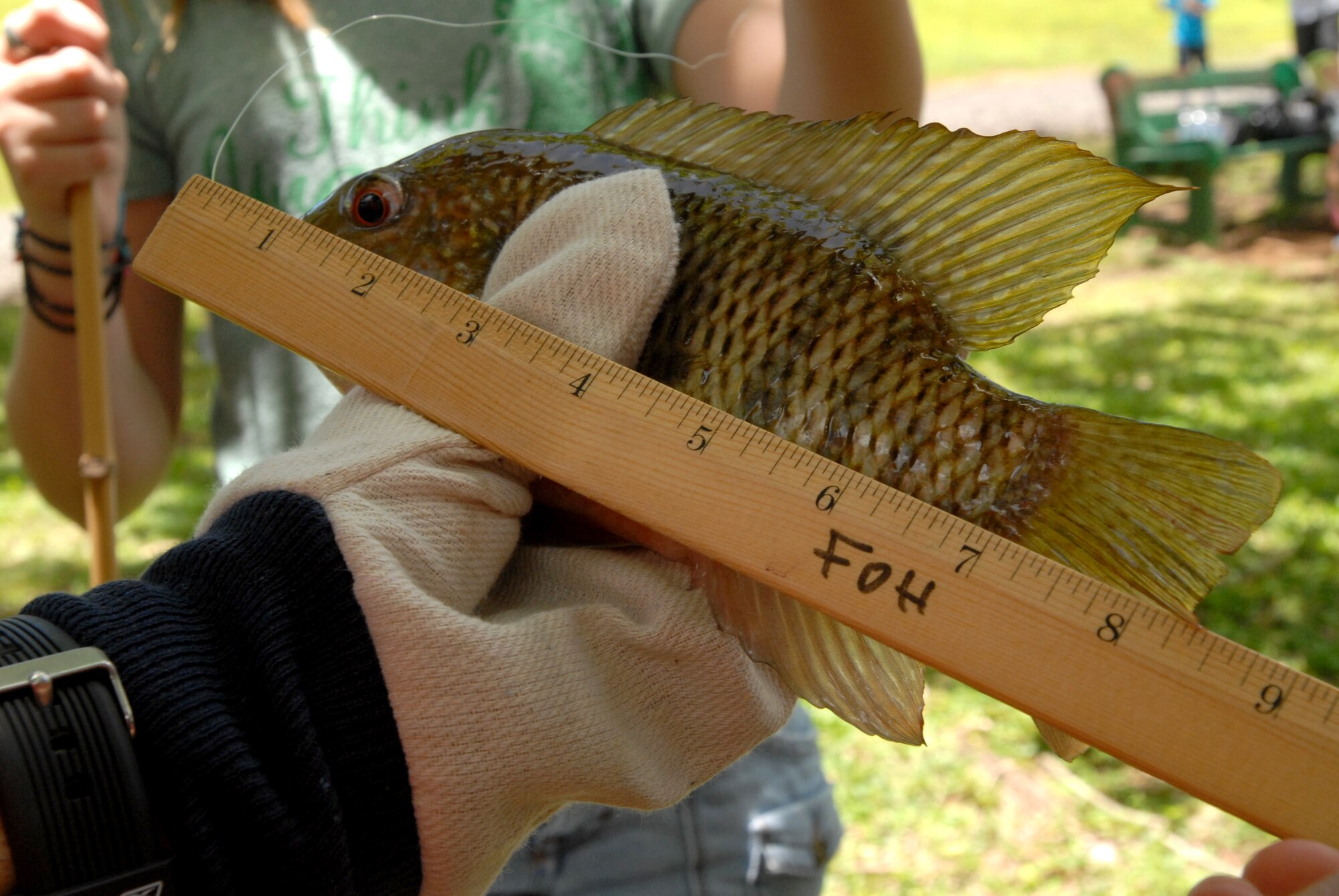 JOINT BASE PERAL HARBOR HICKAM, Hawaii  -- An 8-and-a-half-inch fish caught by Kristina Poe, 12, is measured by a fishing marshall during the Keiki Fishing Tournament, hosted by Friends of Hickam, June 2 at the Ho`omaluhia Botanical Gardens. Keiki, the Hawaiian word for children, caught a tournament record 732 fish. This is the 11th straight year the Friends of Hickam has hosted the event for more than 200 children every year. (U.S. Air Force photo/SSgt. Mike Meares)