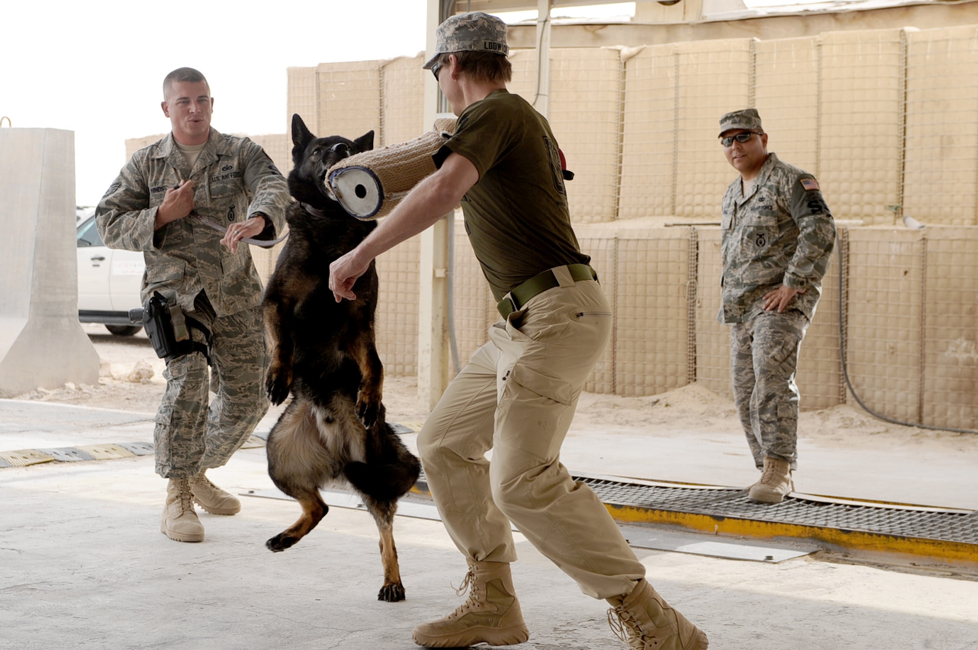 Staff Sgt. Christopher Hinds holds the leash of Ajax while 'attacking' Todd Lodwick, a visiting U.S. Olympic Ski Team medalist, during a demonstration April 9, 2010, at an air base in Southwest Asia.  Sergeant Hines is a 379th Expeditionary Security Forces Squadron military working dog handler. Ajax is a 379 ESFS military working dog. (U.S. Air Force photo/Senior Airman Kasey Zickmund)