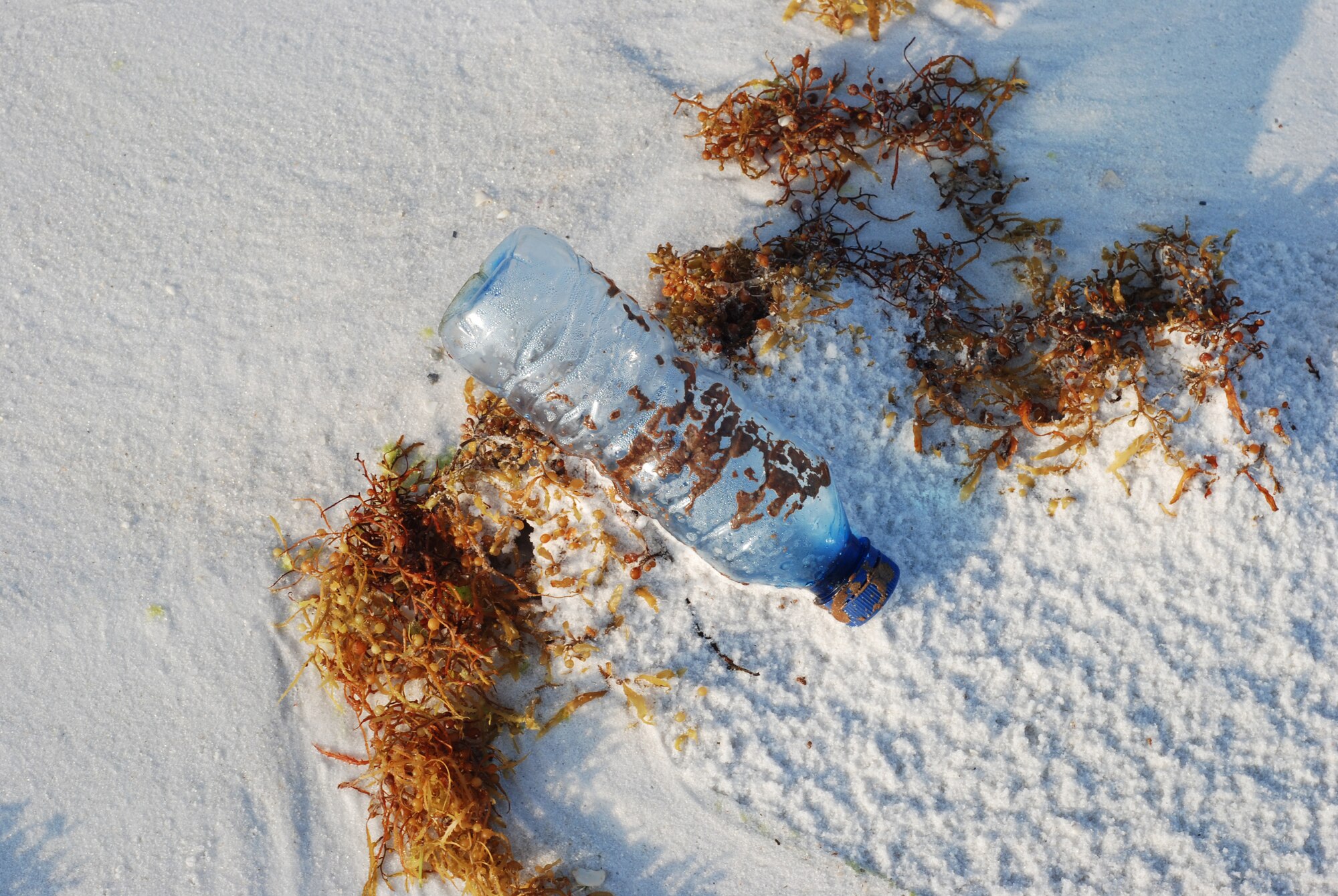 Oil-covered debris from the Deepwater Horizon Oil leak began washing ashore on Eglin beaches Saturday. BP Shoreline Cleanup Assessment Teams are currently on-site at several locations on Eglin property cleaning the oil as it's discovered. (USAF photo/Kathy Gault