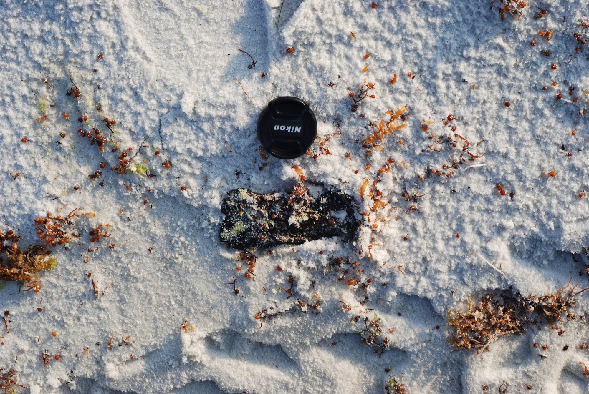 Tar balls from the Deepwater Horizon oil leak began washing ashore on Eglin beaches Saturday. BP Shoreline Cleanup Assessment Teams are currently on-site at several locations on Eglin property cleaning the oil as it's discovered. (USAF photo/Kathy Gault)