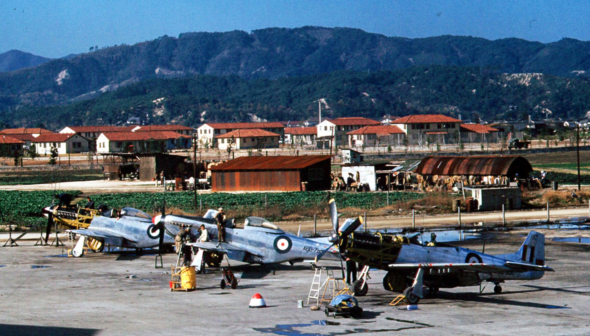 Royal Australian Air Force F-51s in maintenance at Iwakuni, Japan. (U.S. Air Force photo)