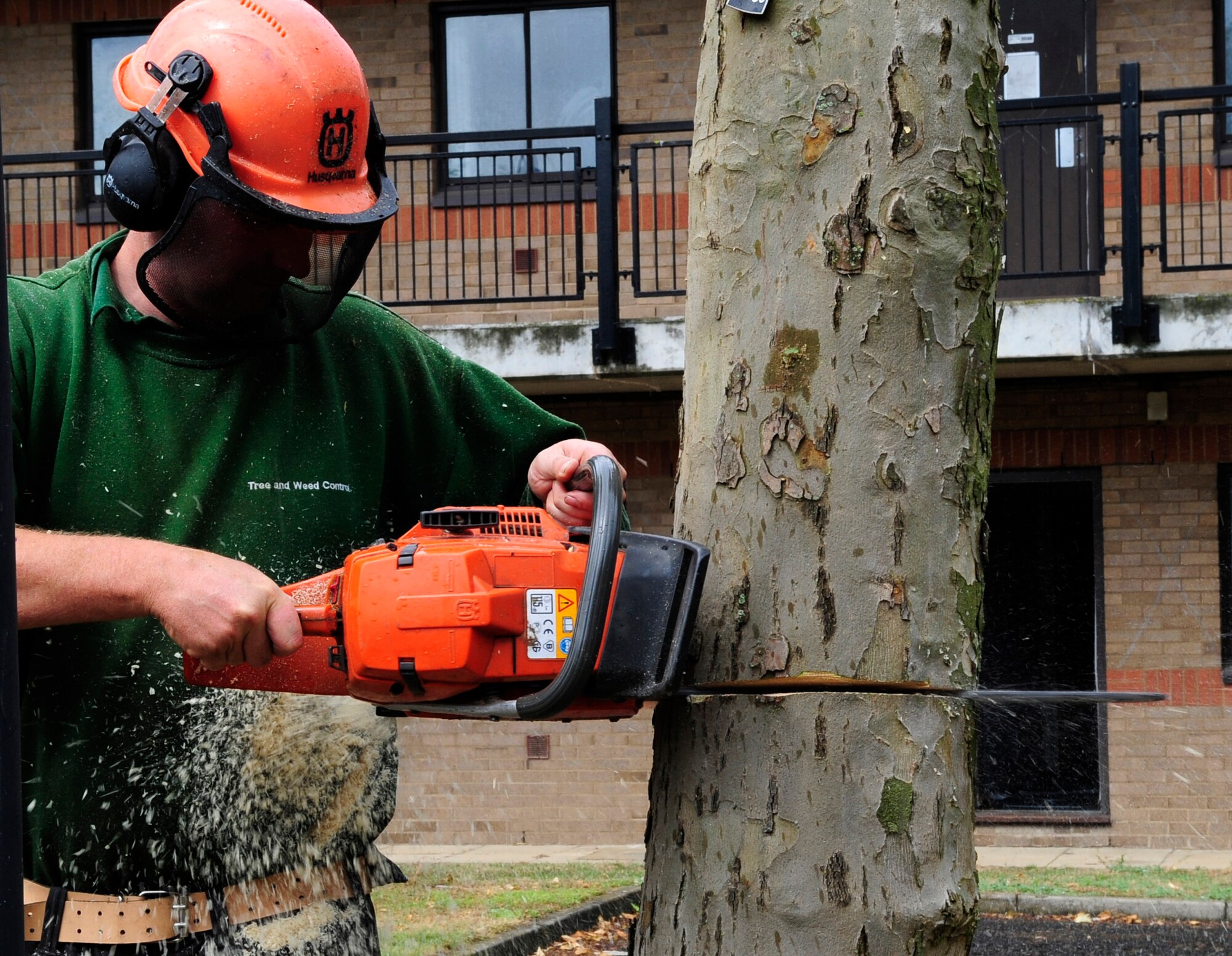 RAF MILDENHALL, England – Mark Morton, a local landscaping contractor, cuts down the trees outside Building 213 June 8.  Maintaining the grounds is an ongoing process during warmer months.  (U.S. Air Force photo/Staff Sgt. Christopher L. Ingersoll)