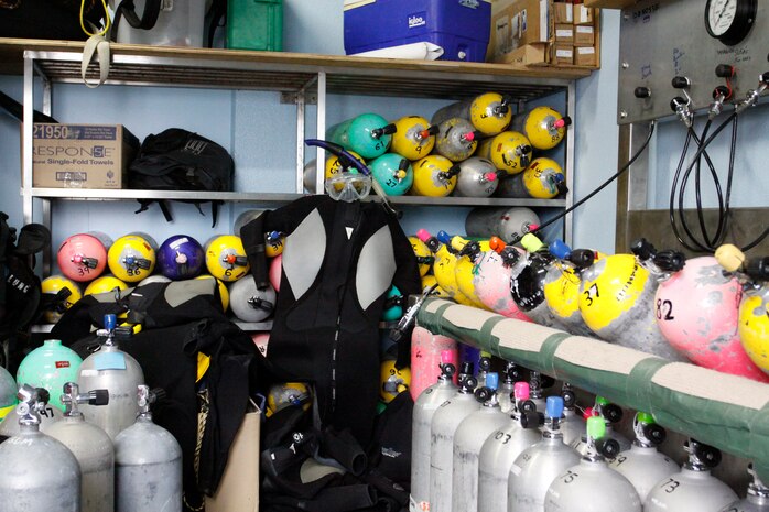 The Professional Association of Diving Instructors offers a basic open water course at the Shark Bait Dive Center April through October. The Shark Bait Dive Center provides gear rental including wet suits, masks, fins, snorkel, weight belts, scuba tanks, dive computers and various other types of scuba diving equipment to certified divers to use.