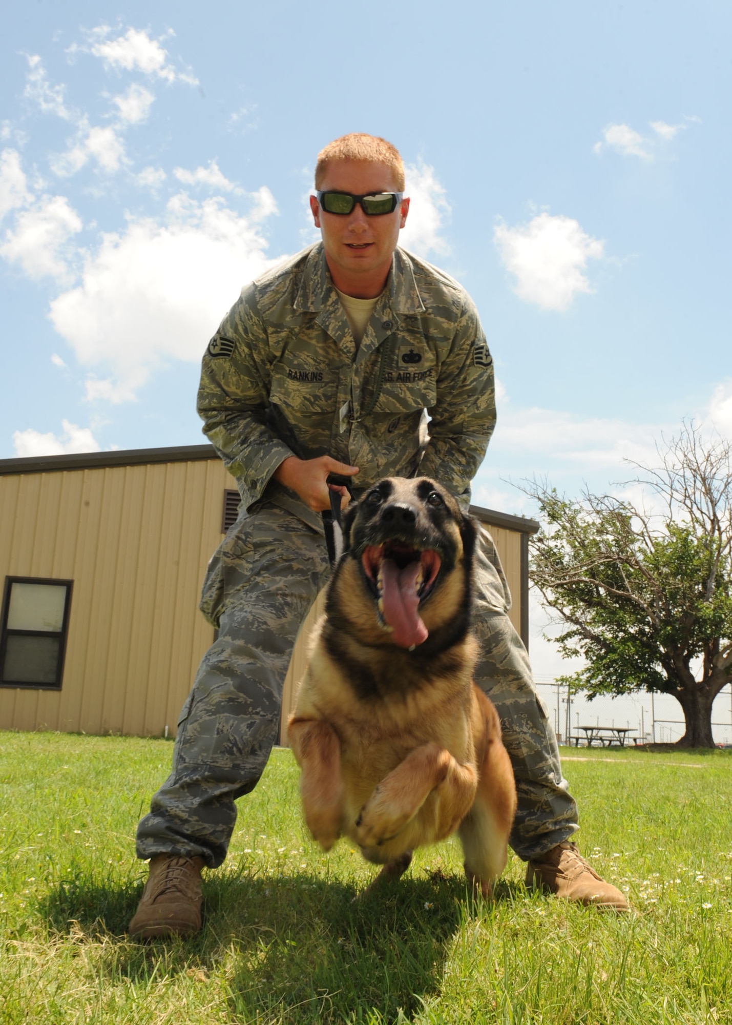 DYESS AIR FORCE BASE, Texas—Staff Sgt. Shawn Rankins, 7th Security Forces Squadron military working dog handler, commands military working dog, Condor, to bite during a training exercise June 9 here. Military working dogs are trained daily to support the squadron’s mission to detect and deter. The training consists of a combination of explosive and patrol work. (U.S. Air Force photo/ Airman 1st Class Brittney Smolinski)