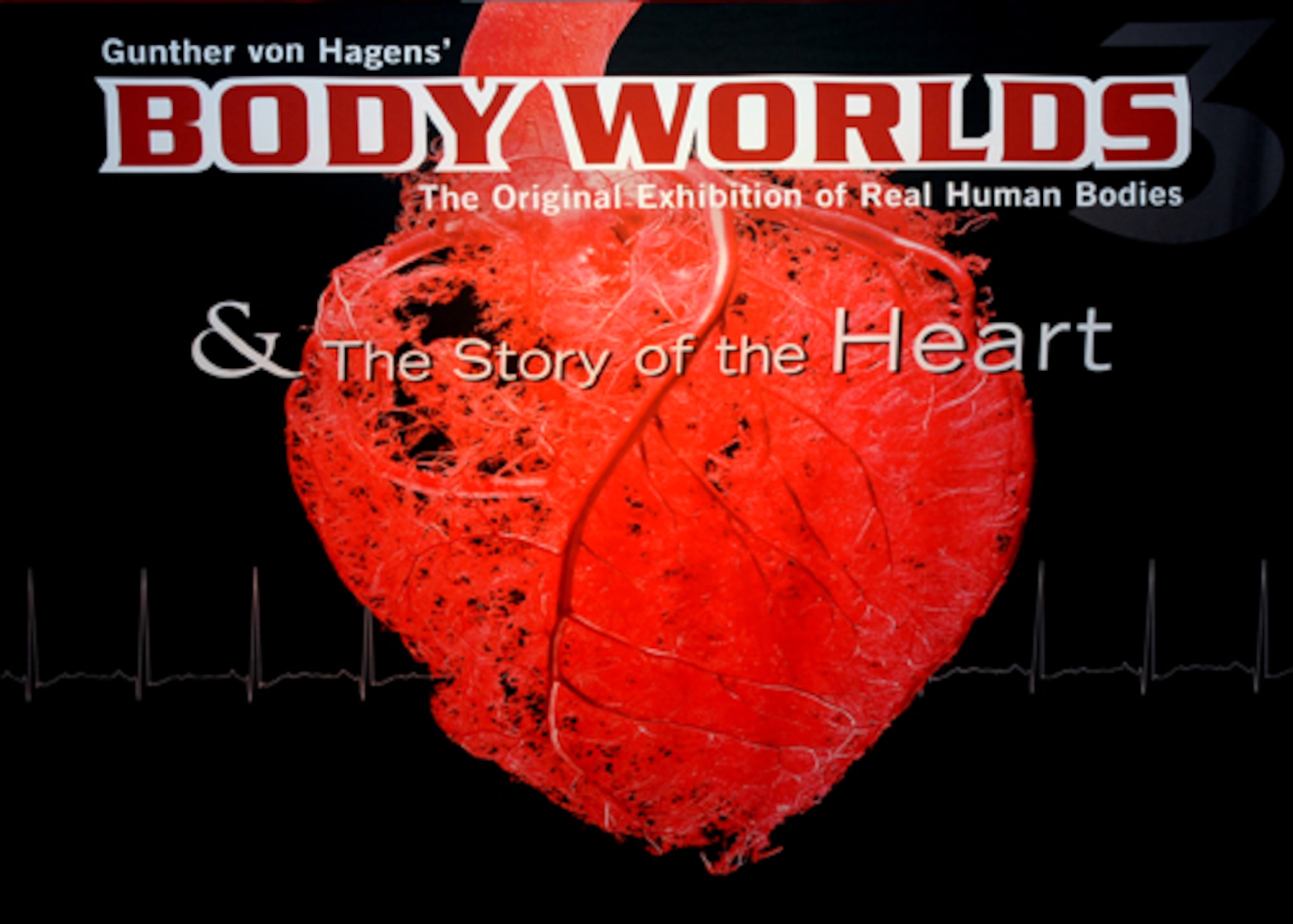 DENVER, Colo. -- Gunther von Hagens presents Body Worlds and the Story of the Heart, an exhibition that displays real human bodies, at the Denver Museum of Nature and Science. (U.S. Air Force photo by Airman 1st Class Marcy Glass)