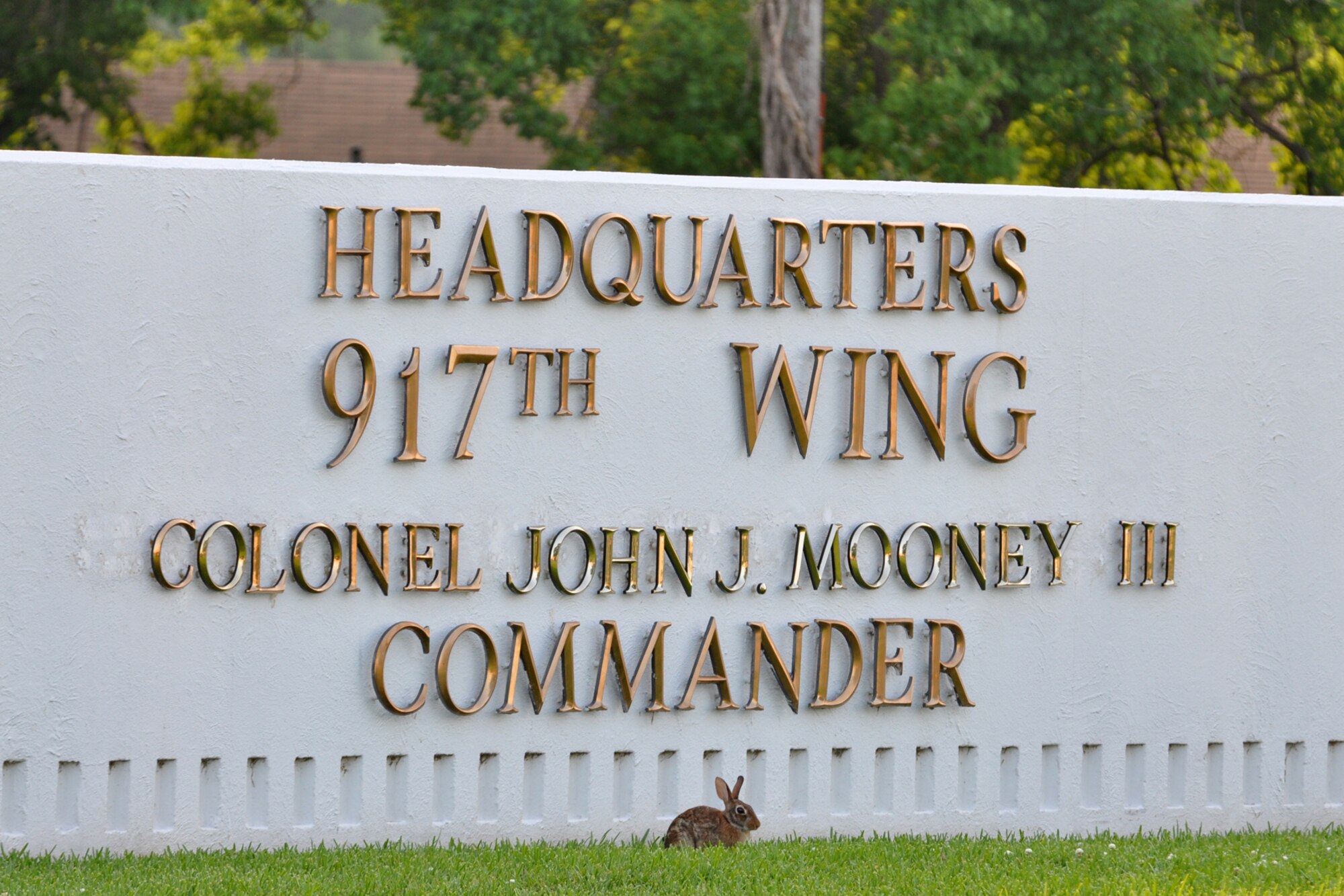 A small rabbit, that found a home at the 917th Wing, Barksdale Air Force Base, La., stakes out a defensive position in front of the wing headquarters sign June 1, 2010. The openness around the sign allowed a much needed breeze to reach the rabbit as well as a shade to protect him from the setting sun. Many different types of nature’s creatures have found suitable homes near the 917th Wing over the years. Hardly a day passes that visitors to the wing don’t witness the wonders of nature here. (U.S. Air Force photo/Tech. Sgt. Jeff Walston)    
