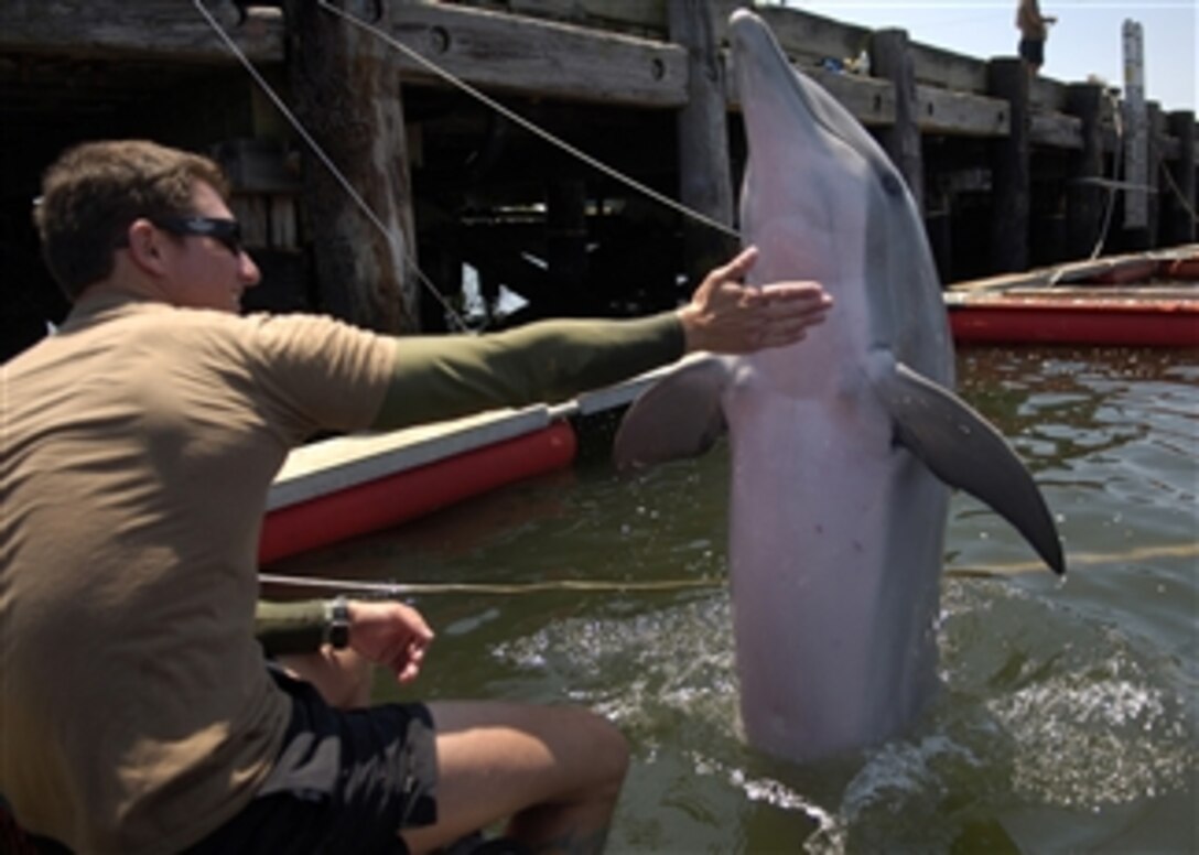U.S. Navy Petty Officer 2nd Class Michael Gerstel, a handler assigned to the Marine Mammal Company of Explosive Ordnance Disposal Mobile Unit, rewards a bottlenose dolphin after a successful training program at Joint Expeditionary Base Little Creek-Fort Story, Va., during Frontier Sentinel 2010 on June 8, 2010.  An estimated 2,500 Canadian and U.S. military personnel and government civilian agency members are participating in the annual maritime homeland security training exercise.  