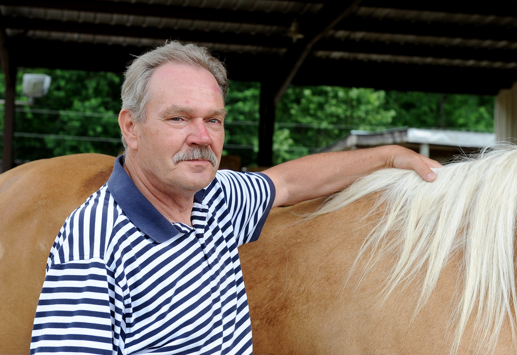 LANGLEY AIR FORCE BASE, Va. -- Terry “Tom” Steele poses next to his horse “Buddy” after a Horses Helping Heroes therapy session June 3. The project is a groundbreaking program providing therapy to persons with severe physical impairments, including military veterans. U.S. Air Force photo/Senior Airman Gul Crockett)