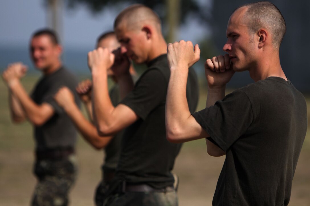 Sgt. Pastushenko Roman (right), a Ukrainian Army soldier with the 30th Mechanized Infantry Brigade, practices his basic warrior stance during a Marine Corps Martial Arts Program training exercise with the Marines of scout platoon, Headquarters and Service Company, 1st Tank Battalion, at Babadag Training Area, Romania, June 15. The Marines are working with Romanian and Ukrainian forces to sharpen their skills in combat and nonlethal operations including an introduction to the Marine Corps Martial Arts Program, convoy operations, patrolling, combat marksmanship, nonlethal weapons and munitions, and a wide variety of instruction encompassing the spectrum of military operations.