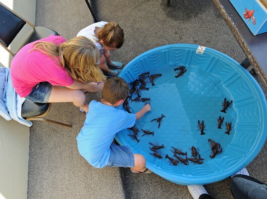 BARKSDALE AIR FORCE BASE, La. – Children lean in to pick the crawfish they want to use in the Kid’s Crawfish Race during the Barksdale Crawfish Festival, June 11. (U.S. Air Force photo by Senior Airman Alexandra M. Boutte) (RELEASED)