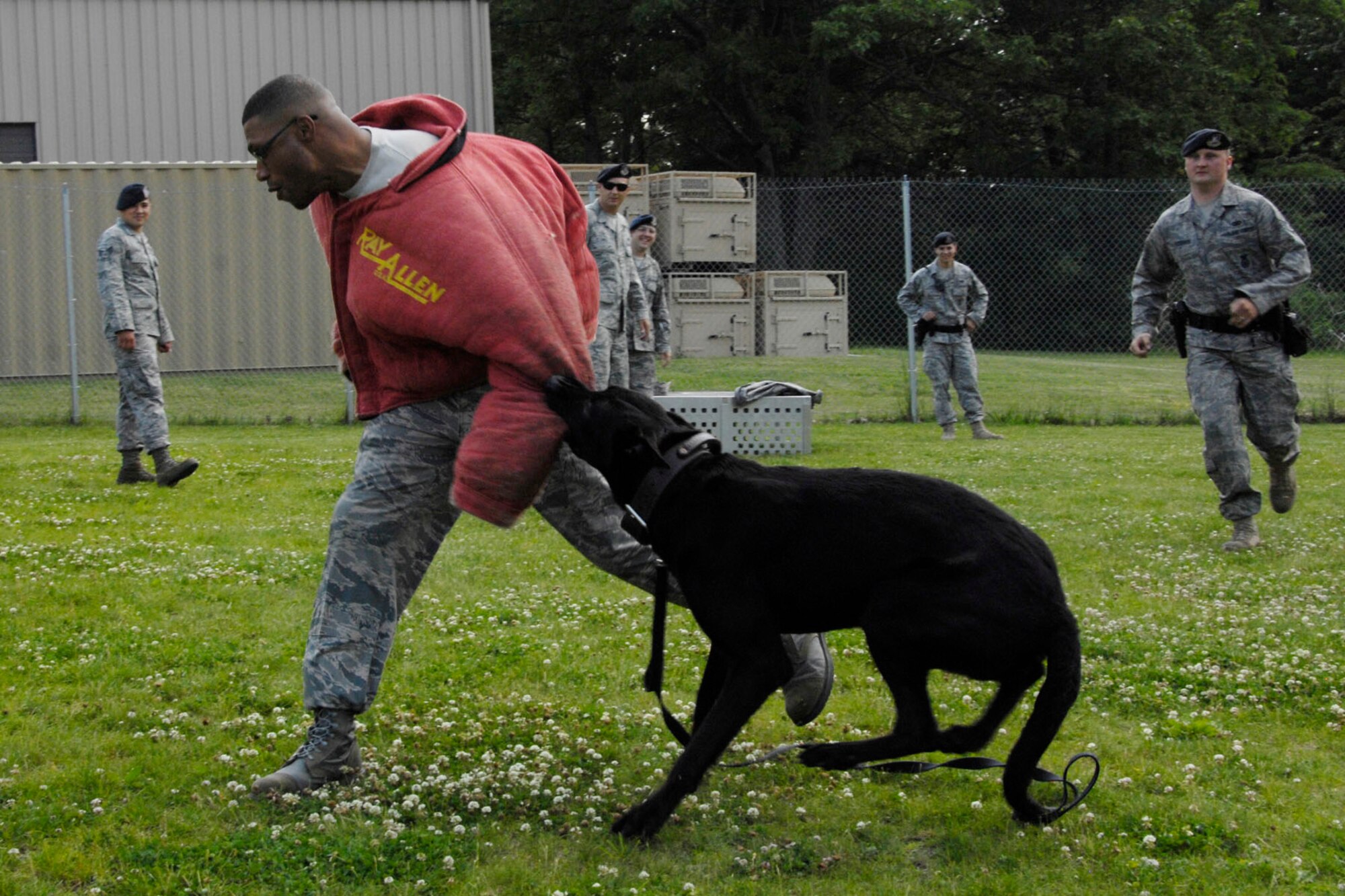HANSCOM AIR FORCE BASE, Mass. – Military Working Dog Max attacks Chief Master Sgt. Kenneth A. Williams, Command Chief Master Sergeant for the Electronic Systems Center, during a military working dog demonstration.  Chief Williams recently visited the military working dogs and their trainers to learn more about what they do here and throughout New England. (U.S. Air Force photo by Linda LaBonte Britt)