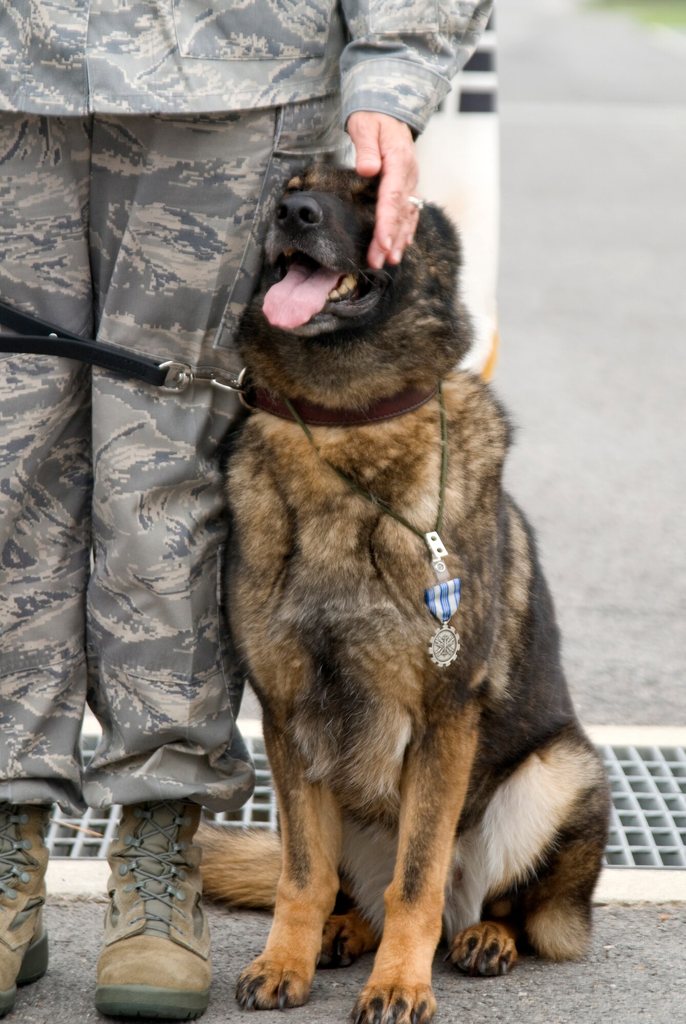 KUNSAN AIR BASE, Republic of Korea -- Col. Janet Deltuva, 8th Medical Group commander, pets military working dog Emzy during Emzy's retirement ceremony June 17. Emzy is an eight-year-old German Shepherd with five years of service at Kunsan. Colonel Deltuva has adopted her. (U.S. Air Force photo/Staff Sgt. Jonathan Pomeroy)