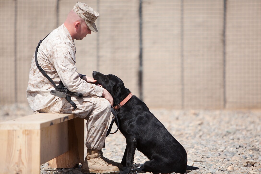 U.S. Marine Staff Sgt. Derick Clark, a kennel supervisor with Headquarters and Service Company, 2nd Battalion, 9th Marine Regiment, and 26-year-old native of Hillsdale, Mich., comforts Yeager, an improvised explosive device detection dog, as they wait for the beginning of a memorial service in honor of Lance Cpl. Abraham Tarwoe, a dog handler and mortarman who served with Weapons Company, 2nd Bn., 9th Marines, here, April 22, 2012. Tarwoe, who became Yeager’s handler in July 2011, was killed in action during a dismounted patrol in support of combat operations in Helmand province’s Marjah district, April 12. Tarwoe’s fellow Marines remember him for his contagious laughter and smile, and his unfaltering courage on the battlefield.