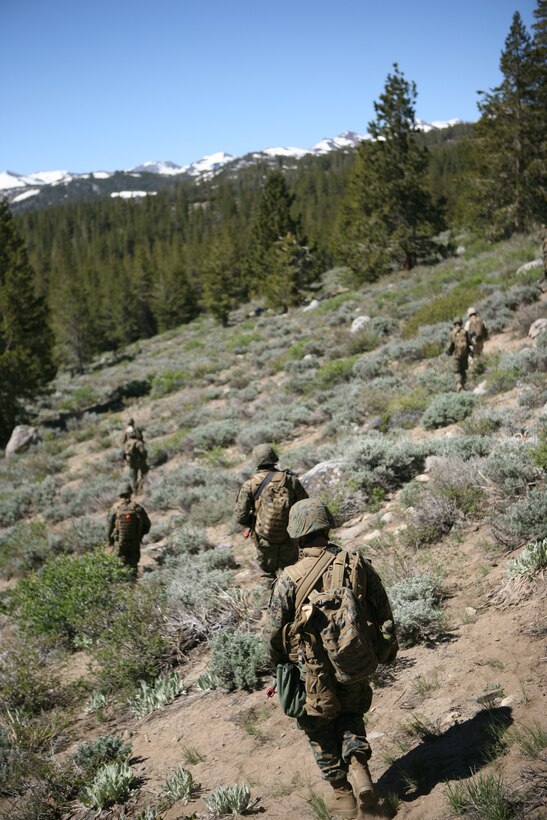 Marines with 1st Battalion, 25th Marine Regiment, spent several hours patrolling the mountains of the Marine Corps Mountain Warfare Training Center June 21.
