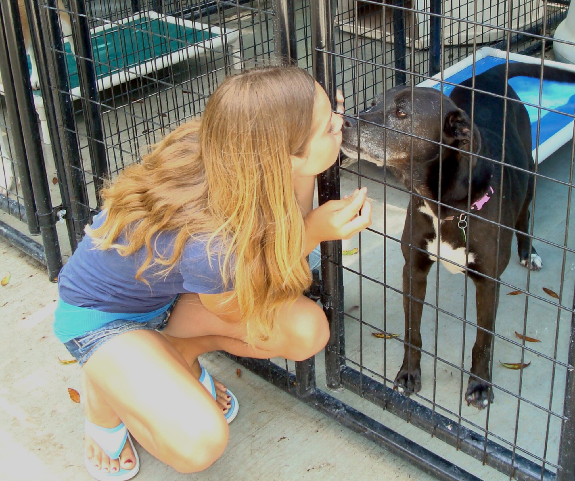 EGLIN AIR FORCE BASE, Fla. -- Ally Hlatky, student at Addie R. Lewis Middle school, visits Gracie, an abandoned dog at Eglin Pet Welfare. Ms. Hlatky, 10, started “Coins for Critters” at her school and raised approximately $100 for the volunteer-run shelter here. She plans to continue the fund raiser when school starts in August. (Courtesy photo)