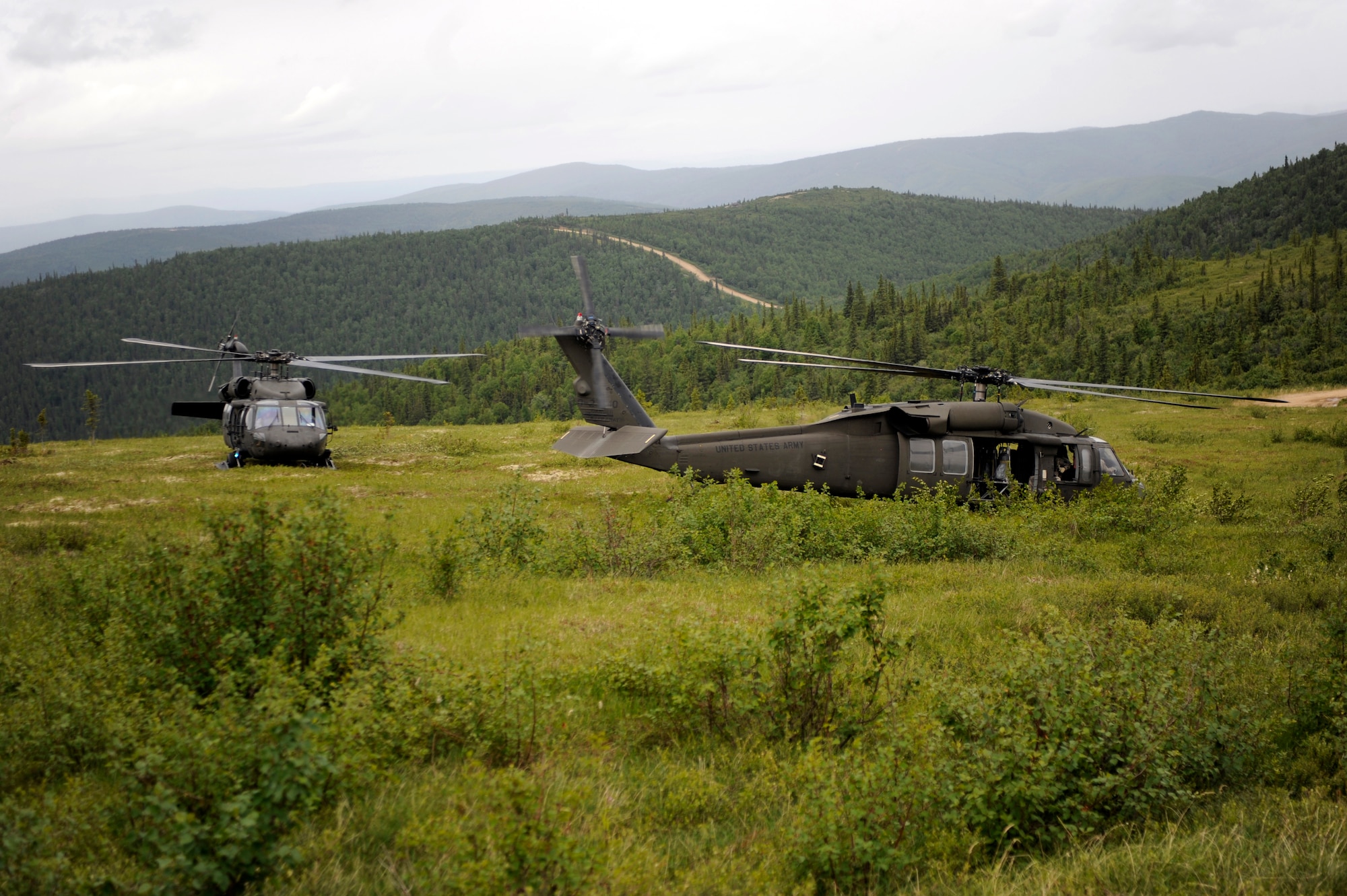 Two UH-60 Black Hawks land drop off Army personnel June 17, 2010, Eielson Air Force Base, Alaska. The soldiers conducted a sweep of the area and a search and recovery operation. The soldiers are assigned to Fort Wainwright, Alaska. (U.S. Air Force photo/ Willard E. Grande II)