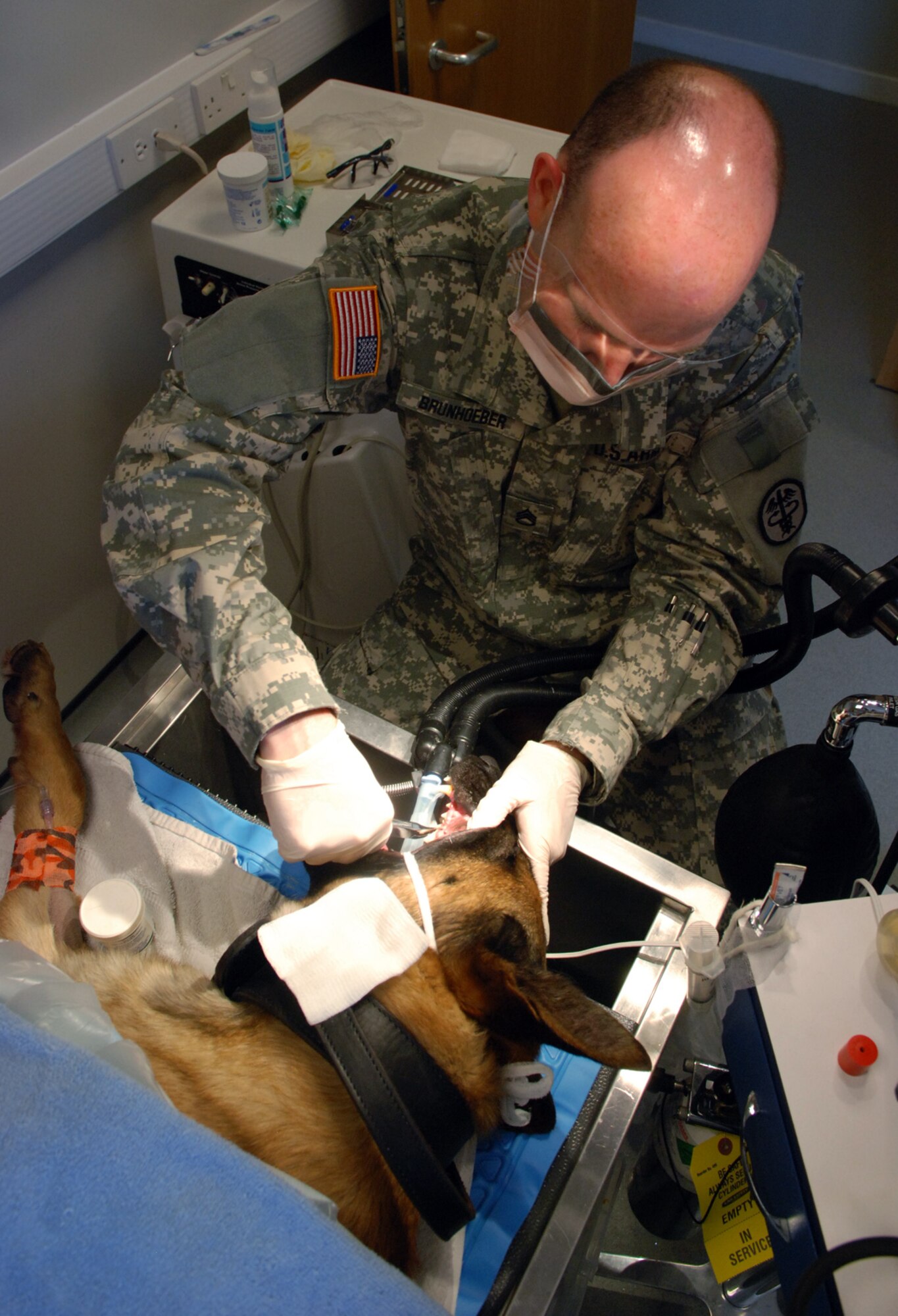 RAF FELTWELL, England – Army Staff Sgt. Oliver Brunhoeber, RAF Feltwell Veterinary Treatment Facility noncommissioned officer in charge, cleans the teeth of Military Working Dog Ootto, 100th Security Forces Squadron.  The VTC serves all U.S. military installations in the United Kingdom, treating both military working dogs and pets.  (U.S. Air Force photo/Staff Sgt. Austin M. May)
