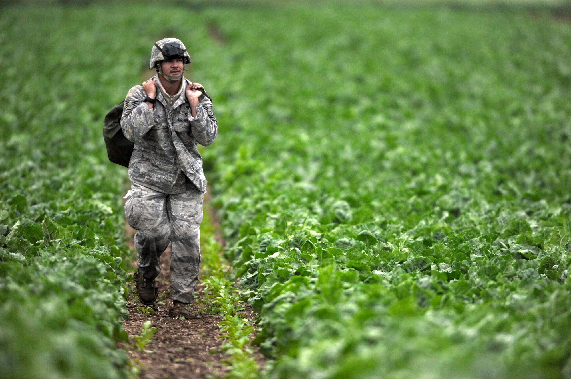 A servicemember carries his gear after parachuting from a C-17 Globemaster III June 17, 2010, over drop zone at Alzey, Germany, during International Jump Week 2010.  Five NATO countries participated in the annual event to support one of United States Air Forces in Europe's top priorities building partnership. (U.S. Air Force photo/Staff Sgt. Shawn Weismiller)