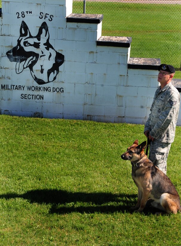 ELLSWORTH AIR FORCE BASE, S.D. -- Staff Sgt. Christopher Darrow, 28th Security Forces Squadron dog handler, stands ready to conduct training with his military working dog, Bak, June 24.  Sergeant Darrow has been a dog handler slightly more than four months, with Bak as his first MWD. (U.S. Air Force photo/Airman 1st Class Anthony Sanchelli)