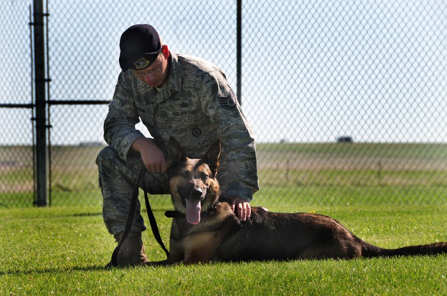 ELLSWORTH AIR FORCE BASE, S.D. -- Staff Sgt. Christopher Darrow, 28th Security Forces Squadron dog handler, gives attention to his military working dog, Bak, June 24.  Sergeant Darrow provides positive reinforcement to Bak when he successfully completes a training event. (U.S. Air Force photo/Airman 1st Class Anthony Sanchelli)