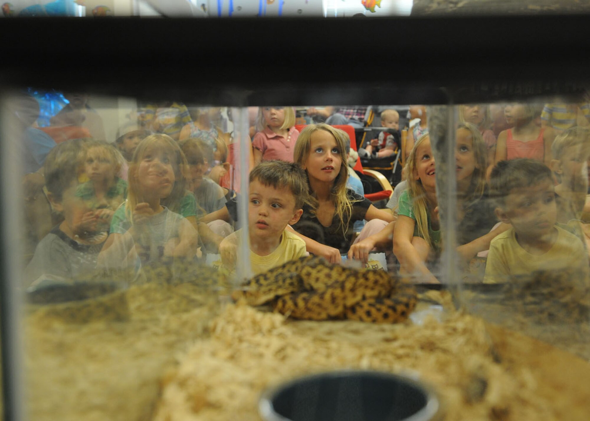 DYESS AIR FORCE BASE, Texas—Children from the Child Development Center learn about snakes, spiders and other animals indigenous to Texas June 23 as part of a summer reading program at the library here.  Members from the 7th Civil Engineer Squadron brought snakes to teach the children how to identify and handle chance encounters with these animals. The summer reading program consists of informative speakers, crafts, snacks and prizes to entice children to read and learn. For more information about the base library and upcoming programs, call (325) 696-2618. (U.S. Air Force photo/ Airman 1st Class Shannon Hall)