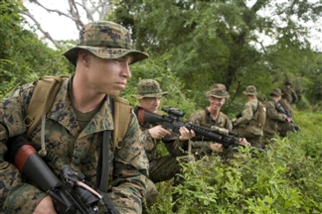 U.S. Marines from 2nd Platoon, Alpha Company with the landing force participating in Cooperation Afloat Readiness and Training Indonesia 2010 wait in the kneeling position as they prepare to conduct a patrol during jungle warfare training with Indonesian marines in Selogiri, Indonesia, on May 31, 2010.  