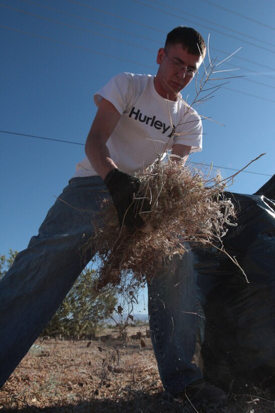 Corporal Christopher Jones, a motor transportation operator with Headquarters Battalion, stuffs the piles of weeds into garbage bags while the rest of the volunteer workers push ahead with the raking at the home of two local women Saturday morning.