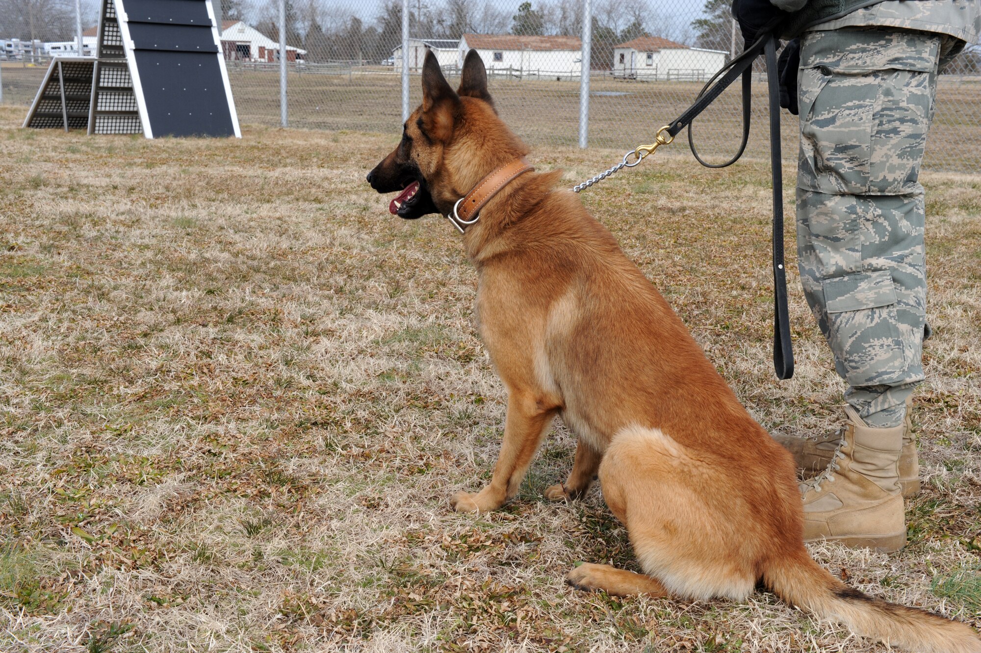 LANGLEY AIR FORCE BASE, Va. -- A dog spends the first year of life with a host family in the local area around Lackland Air Force Base, Texas, to allow for socialization before commencing training to become a Military Working Dog. This is Langley’s first opportunity to participate in the Puppy Program. (U.S. Air Force photo/Senior Airman Zachary Wolf)