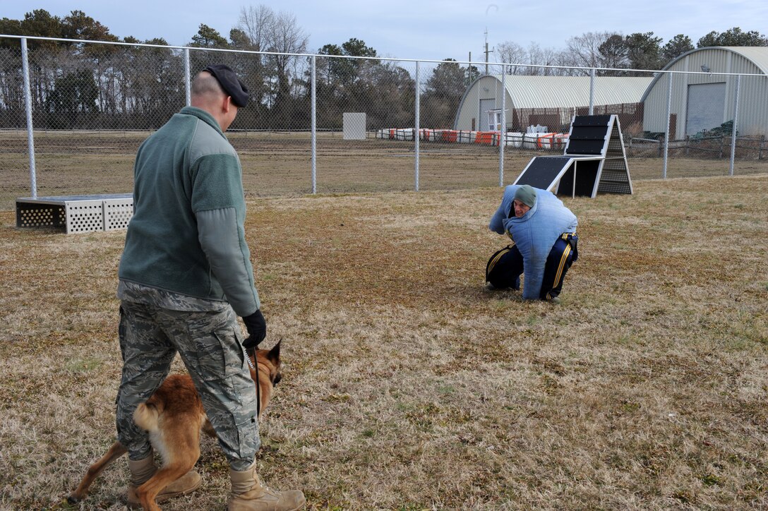LANGLEY AIR FORCE BASE, Va. -- Tech. Sgt. James Carmen, 633d Security Forces Squadron military working dog trainer, holds Uudensi, 633 SFS bomb and patrol military working dog, as Uudensi prepares to charge Staff Sgt. Kelly Eaton, 633 SFS military working dog handler, during Military Working Dog training, which is divided into patrol and explosive training sessions, Feb. 26. Patrol training consists of attack work, building searches, gunfire, obedience, and filed or area searches; explosive training consists of barracks, warehouse, theater, vehicle, luggage, aircraft, and open area or field searches. (U.S. Air Force photo/Senior Airman Zachary Wolf)