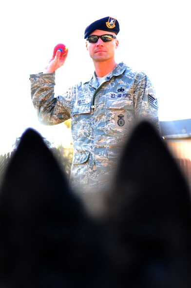 Tech. Sgt. Ryan Feltz, 4th Security Forces Squadron assistant non-commissioned officer in charge of military working dogs, waits for MWD Frisco to sit before throwing a ball for fetch on Seymour Johnson Air Force Base, N.C., Feb. 26, 2010. Playing games like fetch helps trainers keep the dogs in top physical form. Feltz hails from Coldwater, Ohio. (U.S. Air Force photo/Senior Airman Rae Perry)