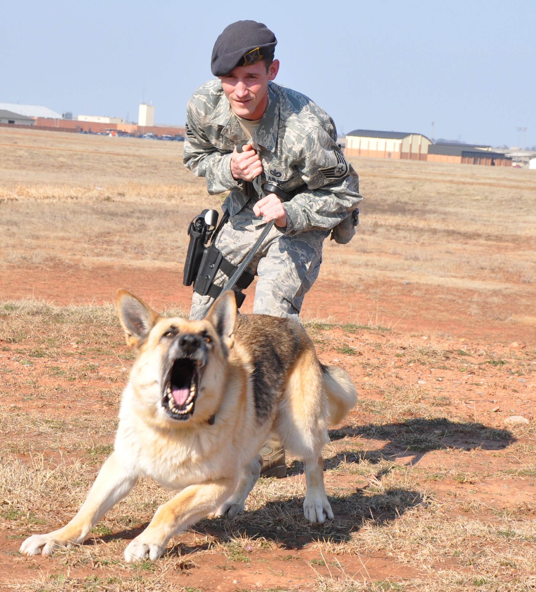 Staff Sgt. Patrick Spivey, 82nd Security Forces Squadron military dog handler, practices an attack technique with Mun, his military working dog, at the 82nd SFS building March 3. The 82nd SFS won the Air Education and Training Command award for Outstanding Security Forces Small Unit of the Year. (U.S. Air Force photo/Airman 1st Class Valerie Hosea)